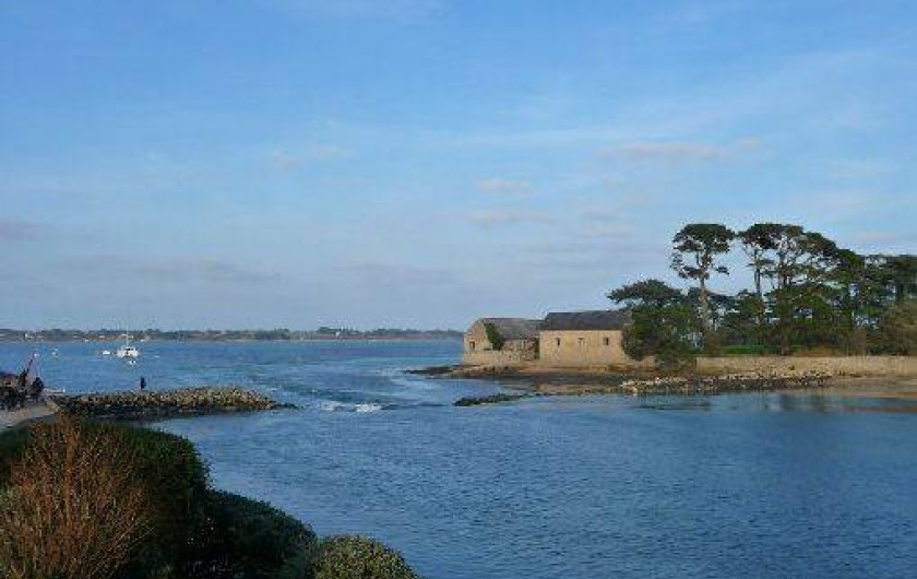 Location de vacances - Gîte à Baden - A proximité l'Ile de Berder