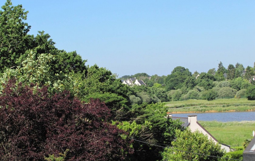 Location de vacances - Gîte à Baden - Vue sur l'étang du Golf