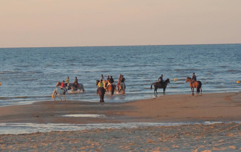 Location de vacances - Chambre d'hôtes à Bréville-les-Monts - plage de merville Franceville