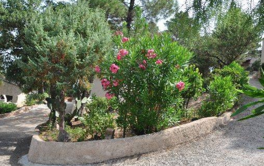 Location de vacances - Villa à Porto-Vecchio