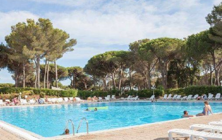 Location de vacances - Appartement à Saint-Raphaël