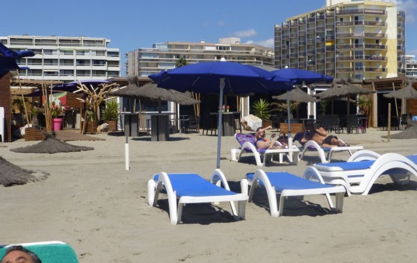 Location de vacances - Studio à Canet-en-Roussillon - la plage
