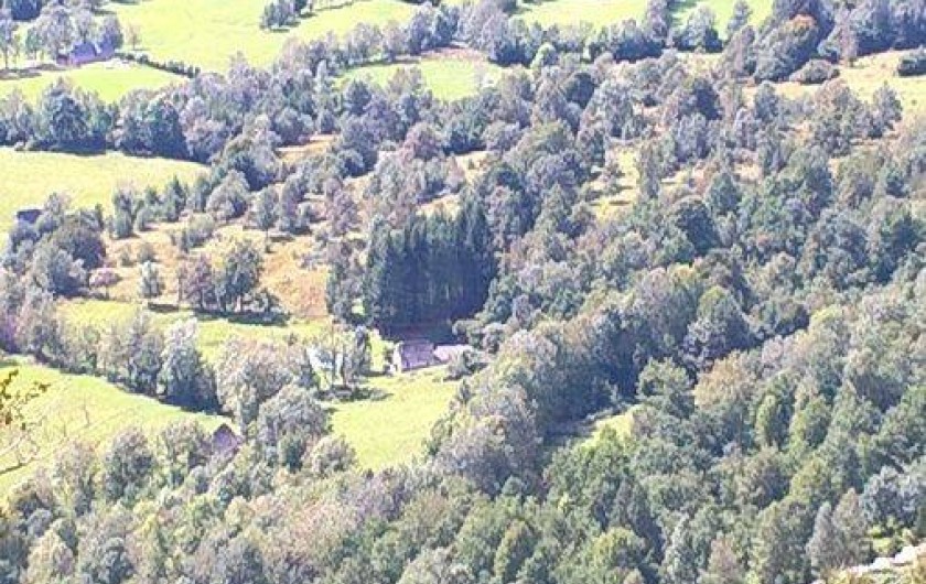 Location de vacances - Gîte à Salles - Situation de la grange au milieu des prés