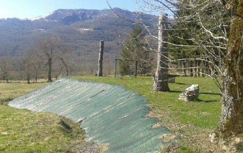 Location de vacances - Gîte à Salles - Terrain