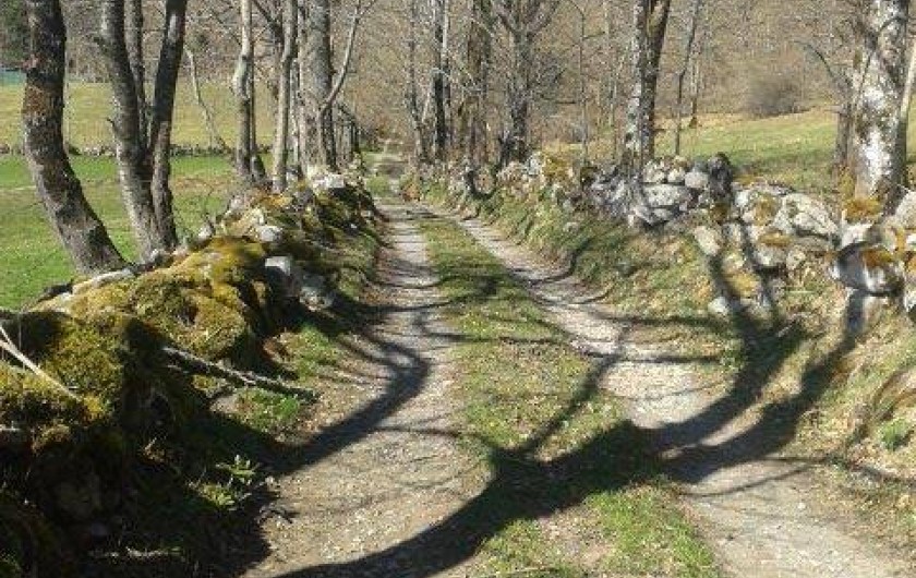 Location de vacances - Gîte à Salles - Chemin d'accès