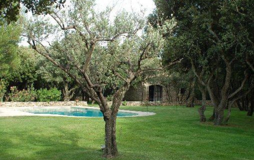 Location de vacances - Villa à Visan