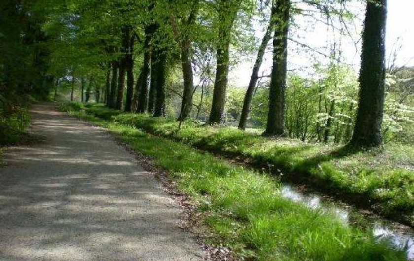 Location de vacances - Gîte à Merléac