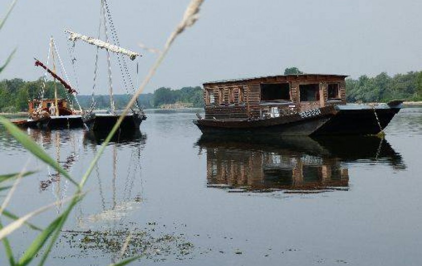 Location de vacances - Gîte à Muides-sur-Loire