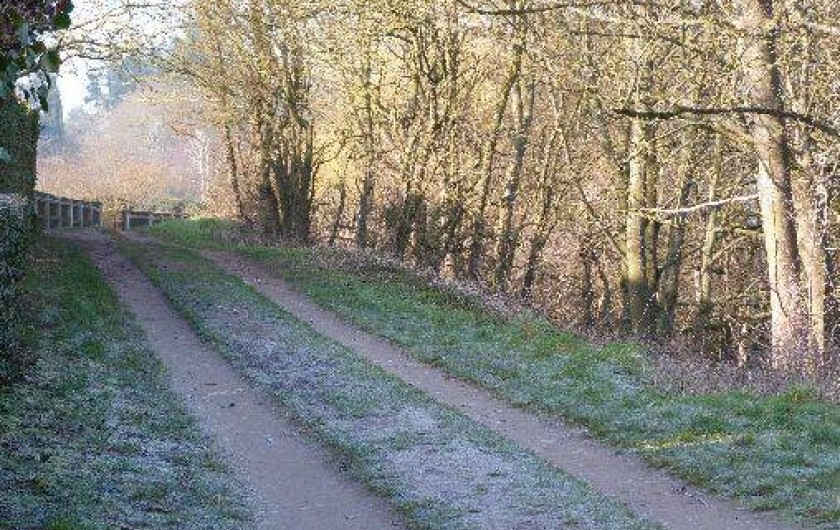 Location de vacances - Gîte à Muides-sur-Loire