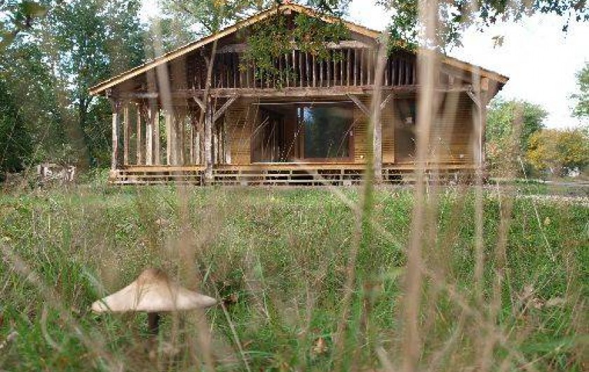 Location de vacances - Gîte à Morcenx