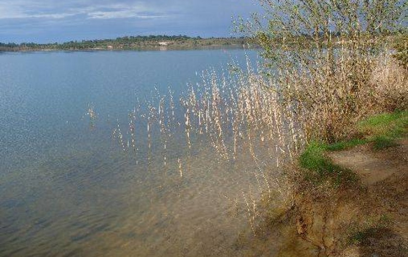 Location de vacances - Gîte à Morcenx