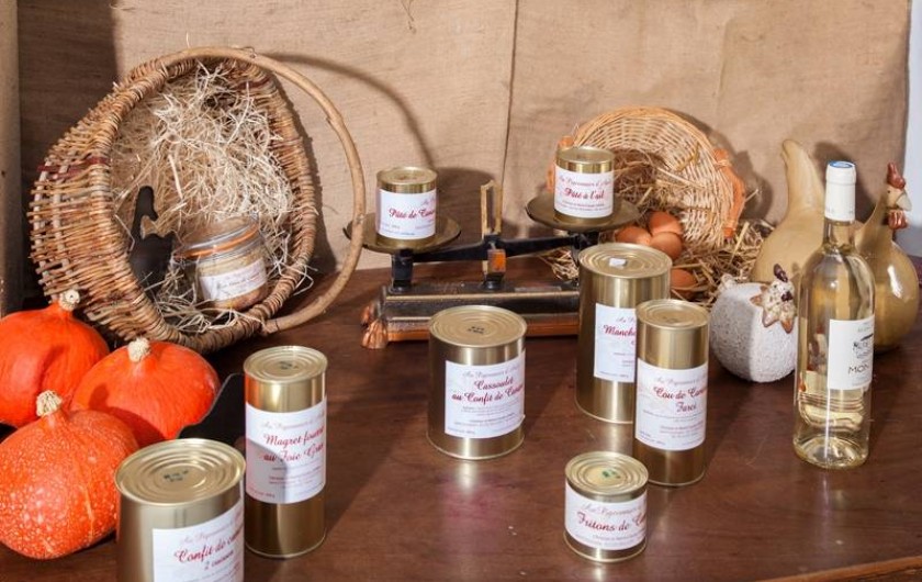 Location de vacances - Gîte à Molières