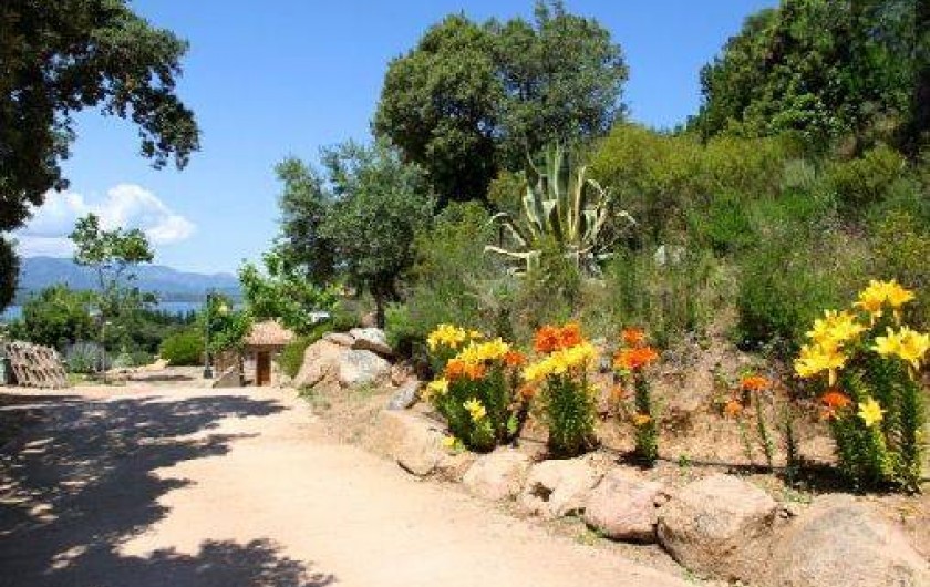 Location de vacances - Villa à Porto-Vecchio