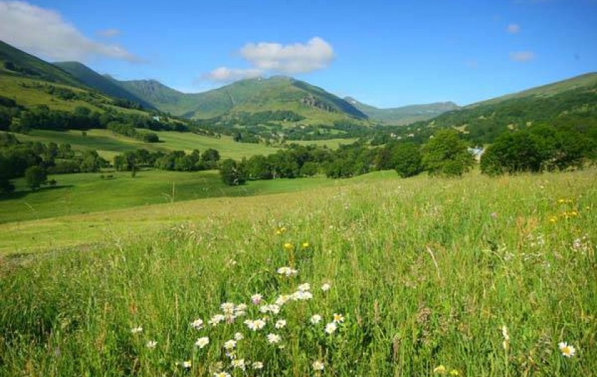Location de vacances - Gîte à Lavigerie