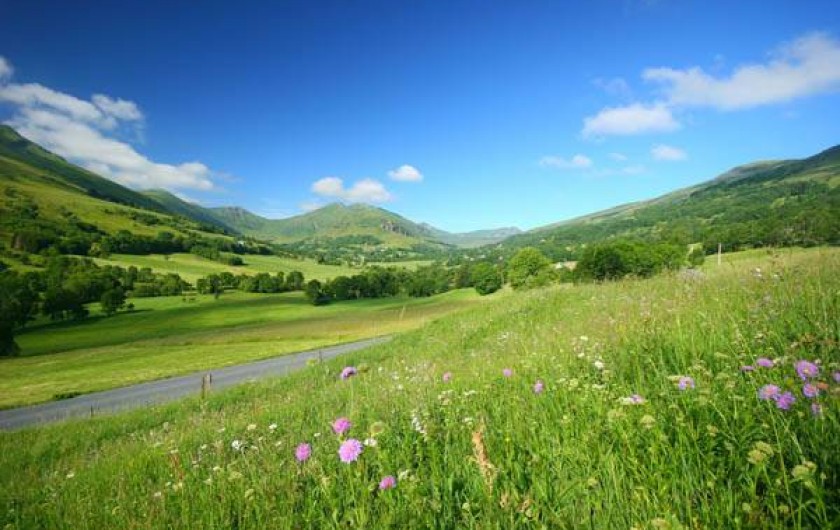 Location de vacances - Gîte à Lavigerie