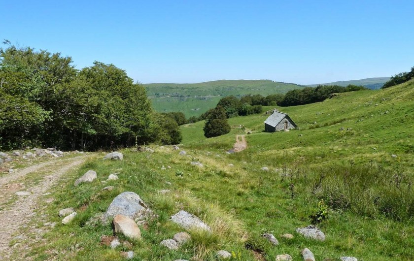 Location de vacances - Gîte à Lavigerie