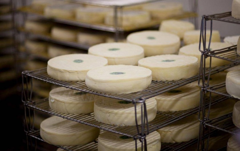 Location de vacances - Gîte à Lavigerie - Affinage Saint-Nectaire