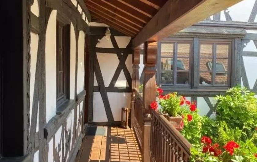 Location de vacances - Appartement à Wissembourg