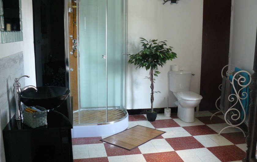 Location de vacances - Chambre d'hôtes à Villeneuve-lès-Béziers - Chambre du 2ème étage : la salle de douche