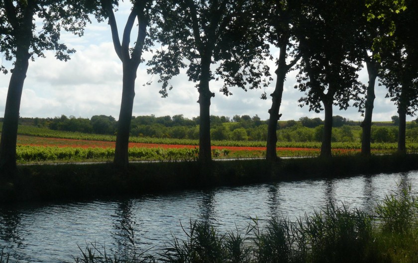 Location de vacances - Chambre d'hôtes à Villeneuve-lès-Béziers - Promenades le long du Canal du Midi