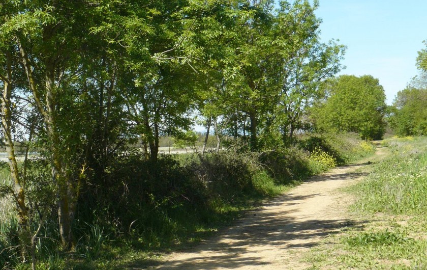 Location de vacances - Chambre d'hôtes à Villeneuve-lès-Béziers - Des sentiers de randonnée