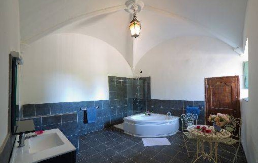 Location de vacances - Château - Manoir à Trausse