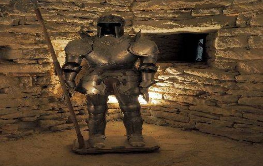 Location de vacances - Château - Manoir à Trausse