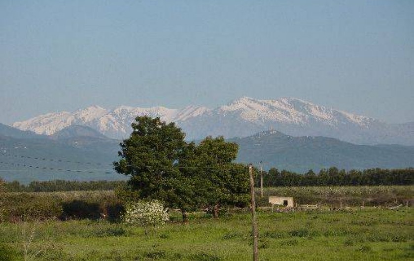 Location de vacances - Villa à Aléria