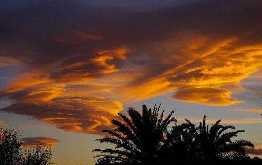 Location de vacances - Villa à Aléria