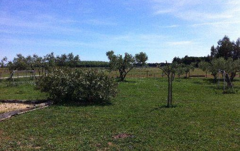 Location de vacances - Mas à Lunel