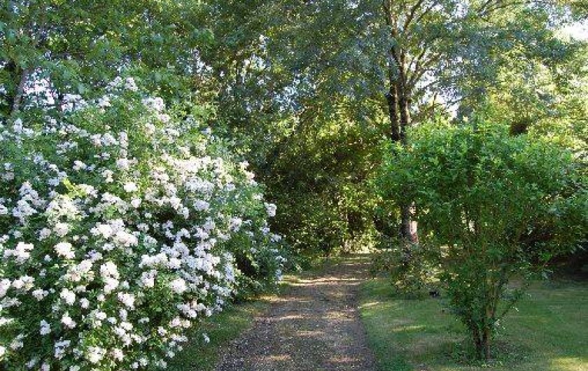 Location de vacances - Gîte à Sainte-Cécile