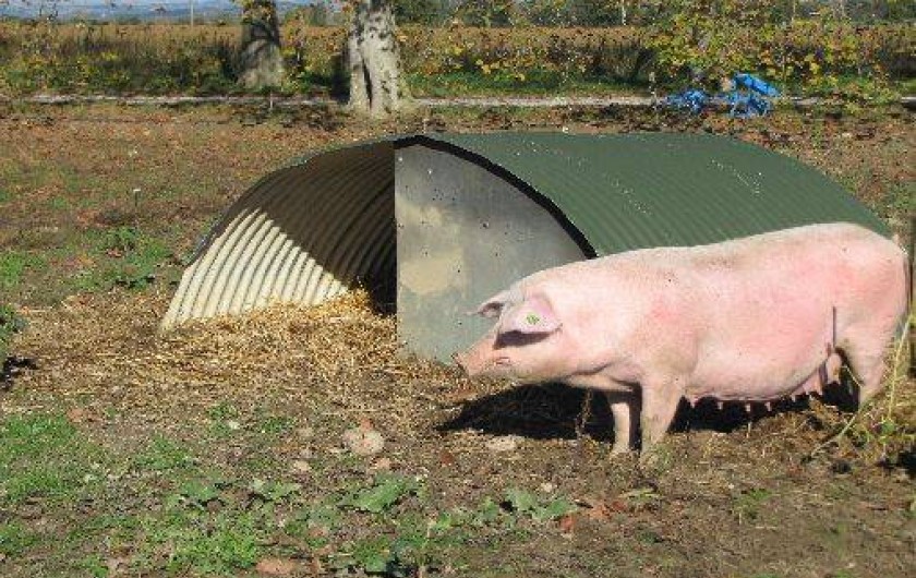 Location de vacances - Chalet à Viviers-lès-Montagnes