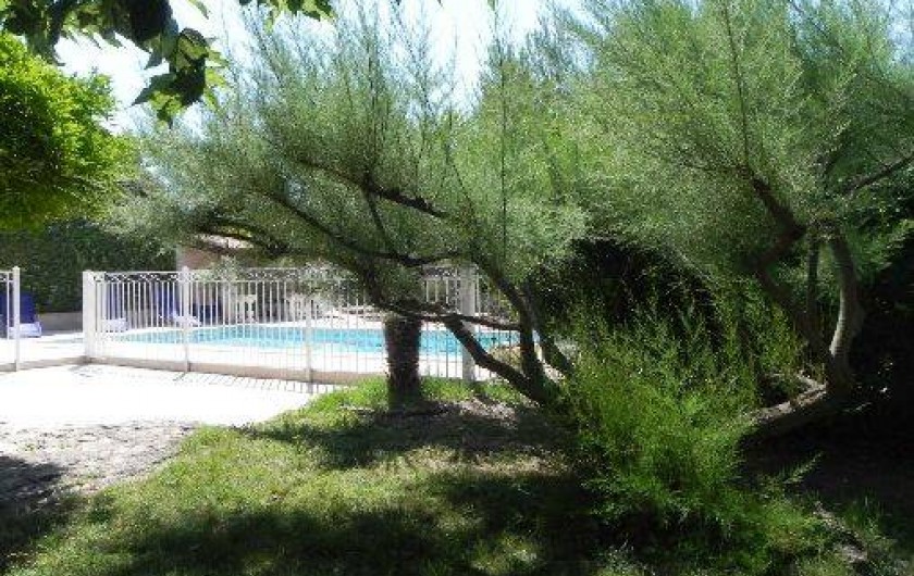 Location de vacances - Villa à L'Isle-sur-la-Sorgue