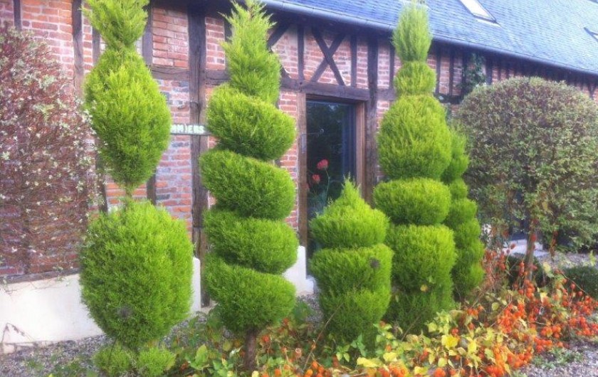 Location de vacances - Gîte à Beauval-en-Caux - topiaires face au gîte "les pommiers"