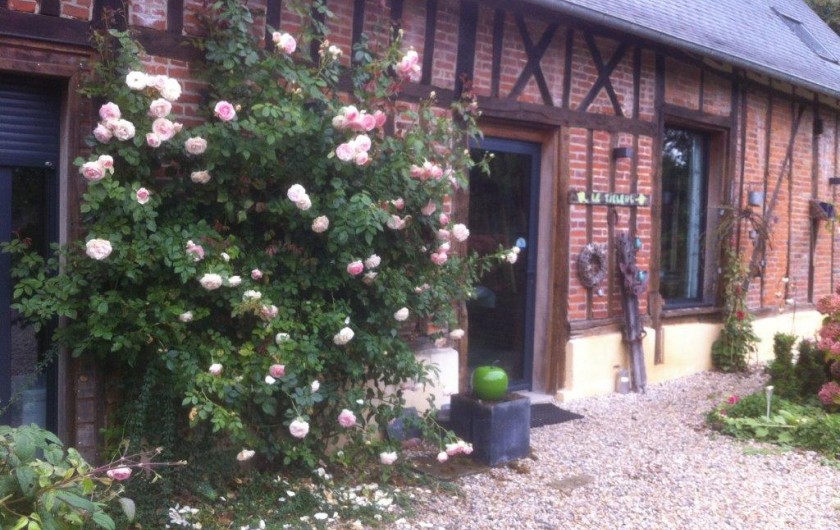 Location de vacances - Gîte à Beauval-en-Caux - rosier à l'accueil du gîte "le tilleul"