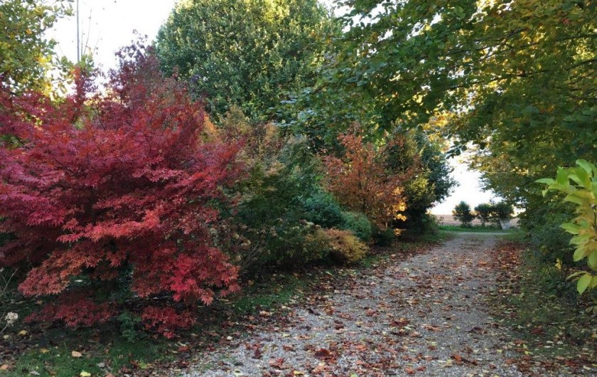 Location de vacances - Gîte à Beauval-en-Caux - couleurs d'automne sur le chemin d'entrée