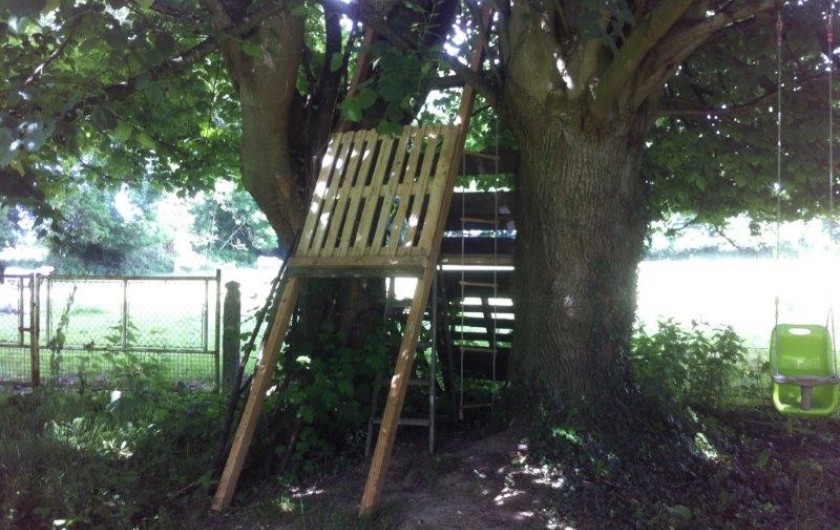 Location de vacances - Gîte à Beauval-en-Caux - cabane installée dans les arbres