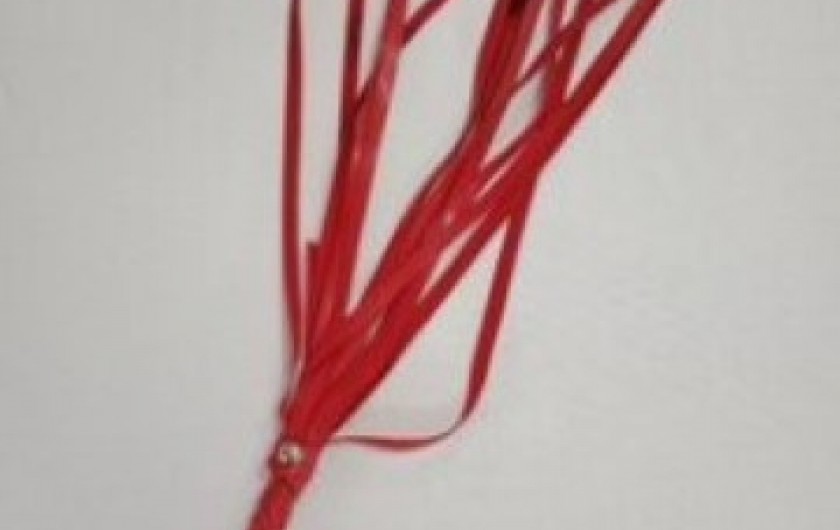 Location de vacances - Gîte à Ambrières-les-Vallées - Fouet