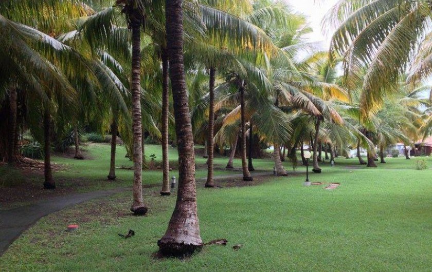 Location de vacances - Appartement à Saint-François - parc