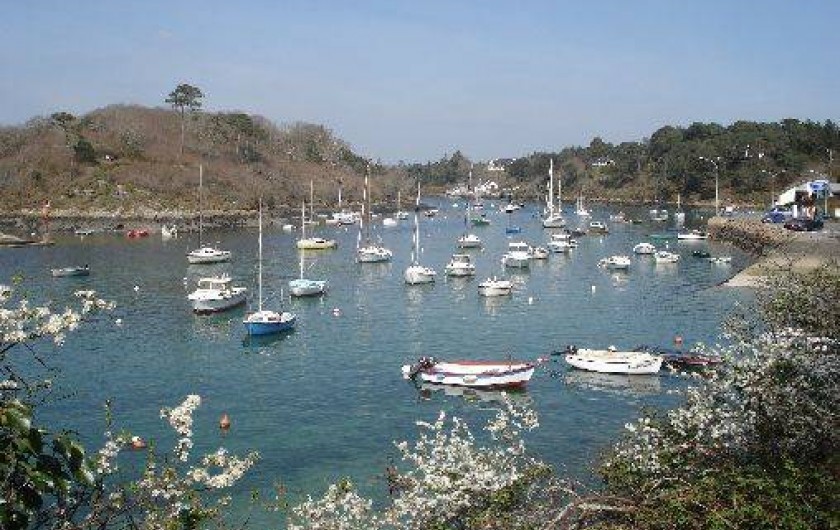 Location de vacances - Maison - Villa à Moëlan-sur-Mer