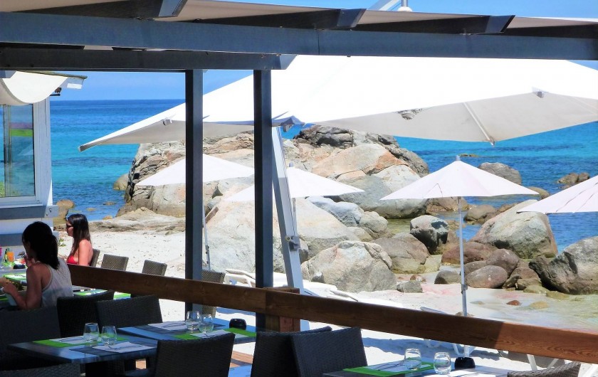 Location de vacances - Villa à Calvi - Paillote sur la plage.