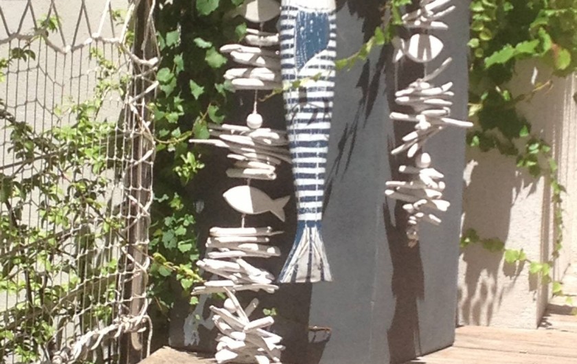 Location de vacances - Villa à Calvi - Jardin.