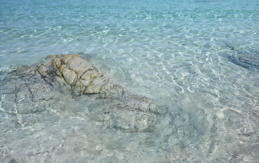 Location de vacances - Villa à Calvi - Eaux turquoises.