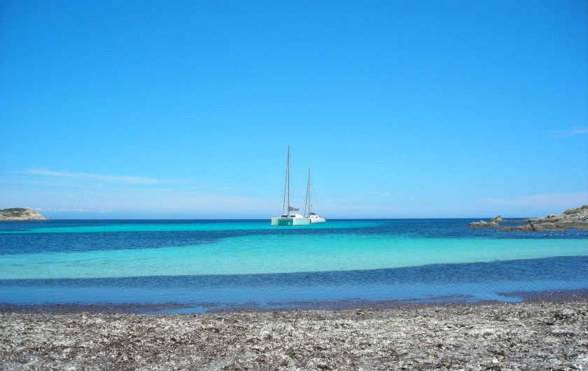 Location de vacances - Villa à Calvi - PLage de l'alga.