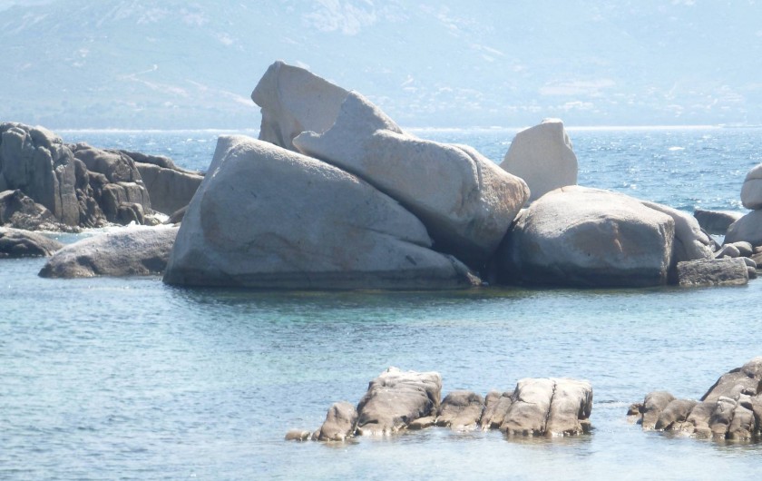 Location de vacances - Villa à Calvi - A Punta di Spano.