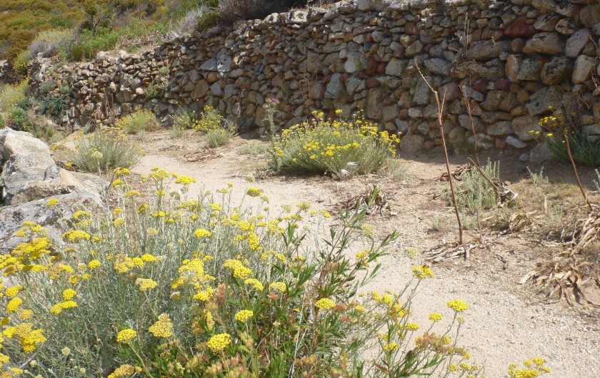 Location de vacances - Villa à Calvi - Rando à Lumio, village de Leaticia Casta.