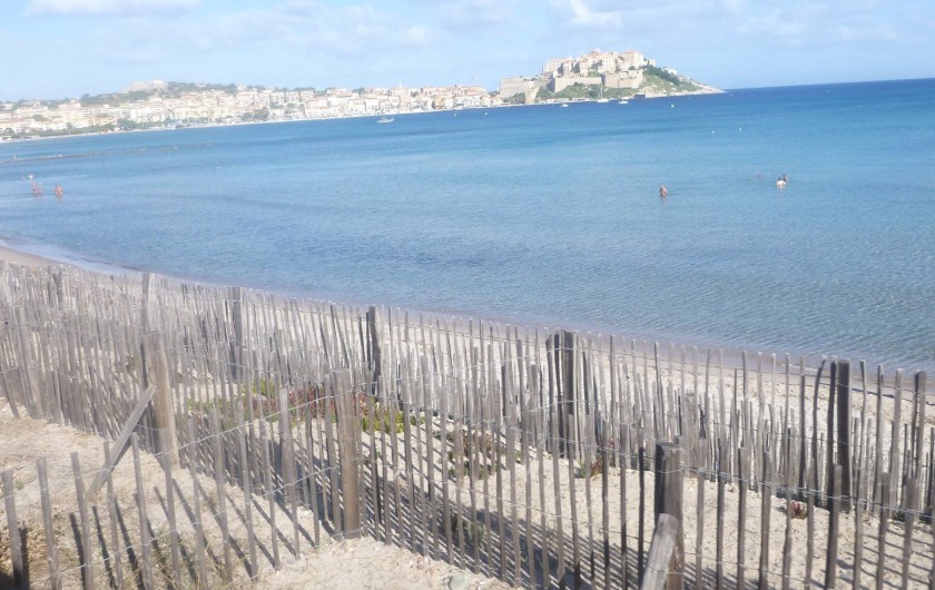 Location de vacances - Villa à Calvi - Plage de Calvi.