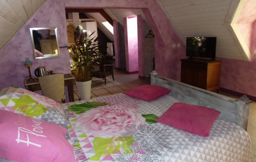 Location de vacances - Chambre d'hôtes à Aubigny-au-Bac - le grenier avec sa tv écran plat 80 cm