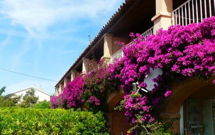 Location de vacances - Studio à Hyères