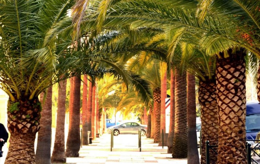 Location de vacances - Studio à Hyères